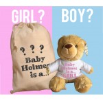 Personalised Gender Reveal Teddy Bear With Matching Gift Bag - Baby Holmes Design - Boy Girl